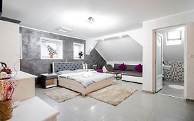 Cazare MOLDI - regim hotelier